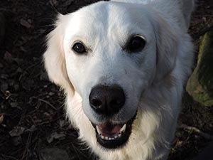 January 2017 Photo 24